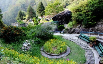 Rock Garden